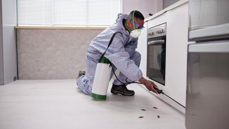 Best Pest Exclusion Services  in Woodstock, AL